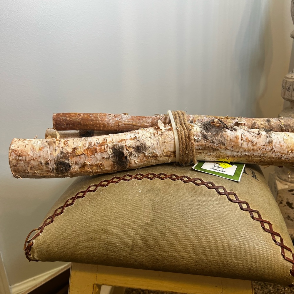 Wilson Rustic Birch Log Bundle with Green Accent